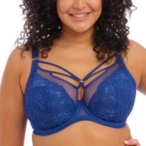 Elomi Brianna Underwire Plunge Bra in Lapis 38G
